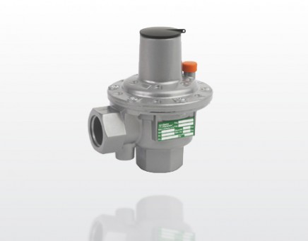 VS/AM 65 safety relief valves